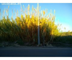 Solar en Venta Serratelles Nules