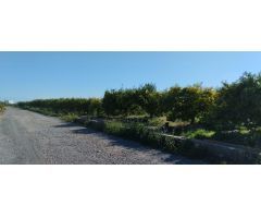SUELO RUSTICO EN LA VALL DUIXÓ