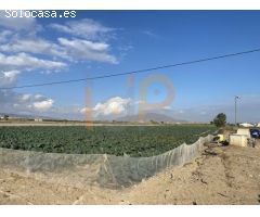 Parcela Rústica en Venta en Huércal-Overa, Almería