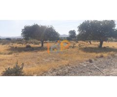 Parcela en Venta en Cuevas del Almanzora, Almería