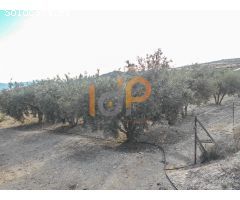 Parcela Rústica en Venta en Puerto Lumbreras, Murcia