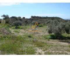 Parcela Rústica en Venta en Huércal-Overa, Almería