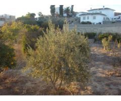 Parcela en Venta en Huércal-Overa, Almería