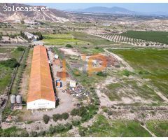 Nave Industrial en Venta en Huércal-Overa, Almería