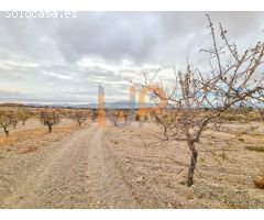 Parcela Rústica en Venta en Huércal-Overa, Almería