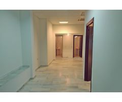 Local en venta o alquiler zona torreón