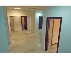 Local en venta o alquiler zona torreón