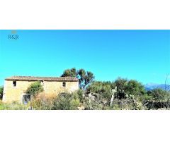 FINCA RÚSTICA BINISSALEM. 44.000 M2 PARC. CASA 130 M2 A REFORMAR. POZO AGUA VENA. 490.000 €