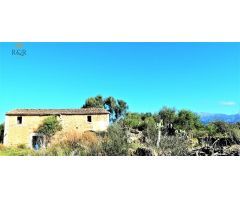 FINCA RÚSTICA BINISSALEM. 44.000 M2 PARC. CASA 130 M2 A REFORMAR. POZO AGUA VENA. 490.000 €