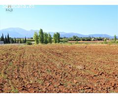 FINCA RÚSTICA EN LLUBÍ. 4500 M2 PARCELA. POZO AGUA PROPIO. BUENA TIERRA. 29.000 €