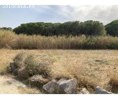 Finca rústica con suministros en Pineda de Mar