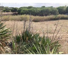 Finca rústica con suministros en Pineda de Mar