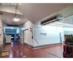 Muelle de carga y placas solares!