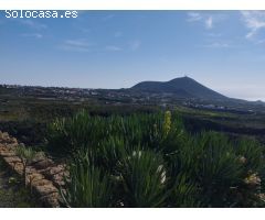 Terreno Agrícola en Viña Vieja.