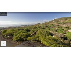 Terreno Agrícola en Viña Vieja.