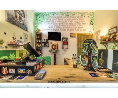 Traspaso de tienda Herbolario CBD