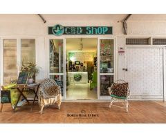Traspaso de tienda Herbolario CBD