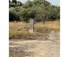 Parcela en Venta en Mutxamel, Alicante