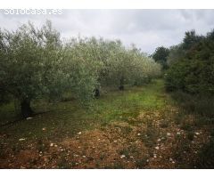 Parcela en Venta en Ulldecona, Tarragona