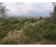 Parcela en Venta en Ulldecona, Tarragona