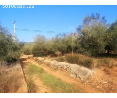 Terreno rural en Venta en Ulldecona, Tarragona