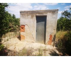 FINCA DE NARANJOS CON POZO PROPIO
