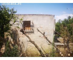 FINCA DE NARANJOS CON POZO PROPIO
