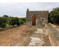 FINCA DE NARANJOS CON CASITA Y VISTAS AL MAR  !!