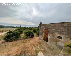 FINCA DE NARANJOS CON CASITA Y VISTAS AL MAR  !!