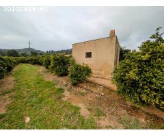 FINCA DE NARANJOS CON CASITA Y VISTAS AL MAR  !!