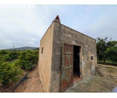 FINCA DE NARANJOS CON CASITA Y VISTAS AL MAR  !!