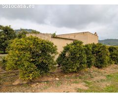 FINCA DE NARANJOS CON CASITA Y VISTAS AL MAR  !!