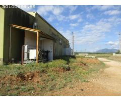 Oportunidad Industrial: Nave de 1.000 m² con Terreno de 5.000 m² Cerca de Figueres