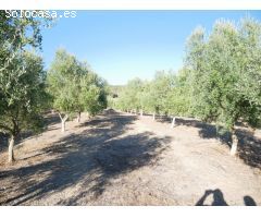 VENTA PARCELA PRADO DEL REY