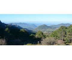 VENTA PARCELA ALREDEDORES DE EL BOSQUE