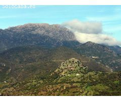 VENTA PARCELA ALREDEDORES DE EL BOSQUE