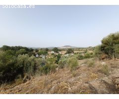 VENTA PARCELA ALREDEDORES DE EL BOSQUE