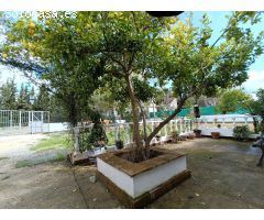 VENTA PARCELA CON 2 CASAS Y 2 PISCINAS. VILLAMARTIN