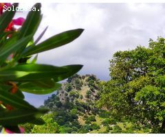 VENTA TERRENO CON CASA.TAVIZNA