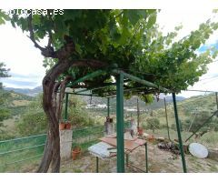 VENTA FINCA RÚSTICA. CERRO MULERA