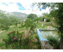 VENTA FINCA RÚSTICA. CERRO MULERA