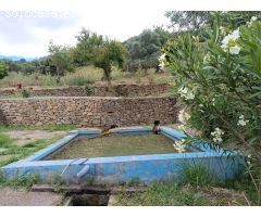 VENTA FINCA RÚSTICA. CERRO MULERA