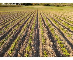 VENTA ESPECTACULAR FINCA RÚSTICA CERCANA A EL BOSQUE