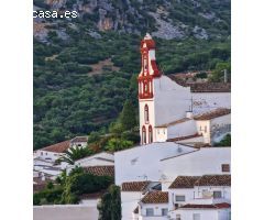 VENTA DE DOS LOCALES