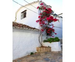 VENTA DE DOS LOCALES