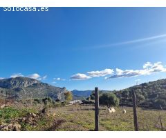 VENTA FINCA CON CASA. ALREDEDORES UBRIQUE.