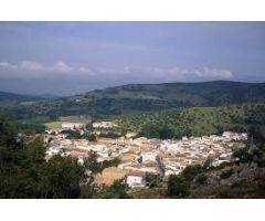 VENTA SOLAR EL BOSQUE