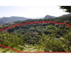 152.000m2 TERRENO RURAL EN SUNBILLA