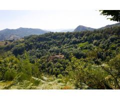 152.000m2 TERRENO RURAL EN SUNBILLA