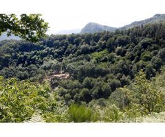 152.000m2 TERRENO RURAL EN SUNBILLA